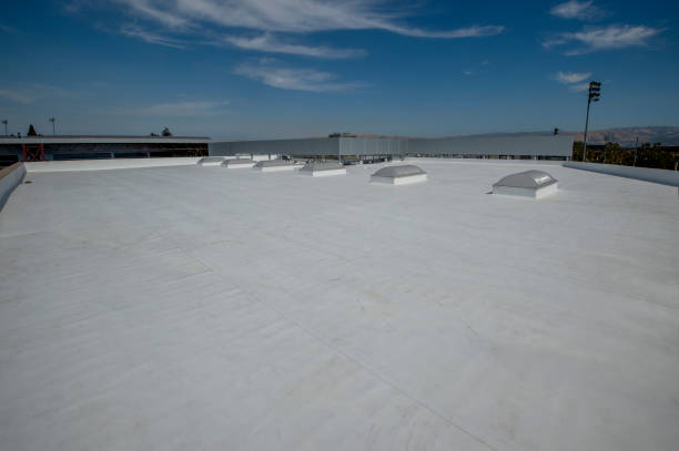 Best Asphalt Shingle Roofing  in Big Pine Key, FL