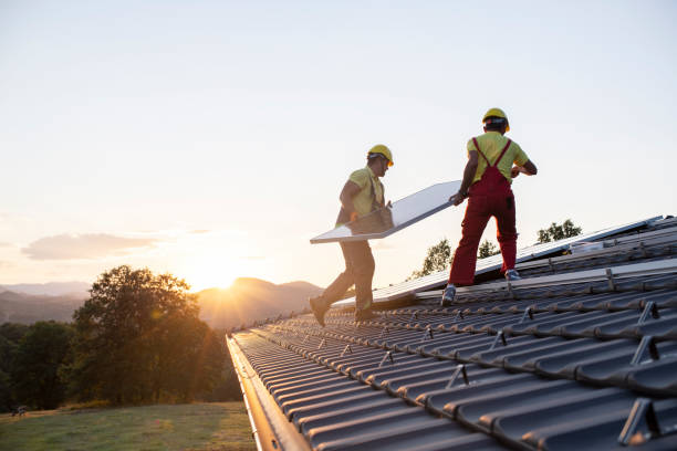 Best Roof Moss and Algae Removal  in Big Pine Key, FL
