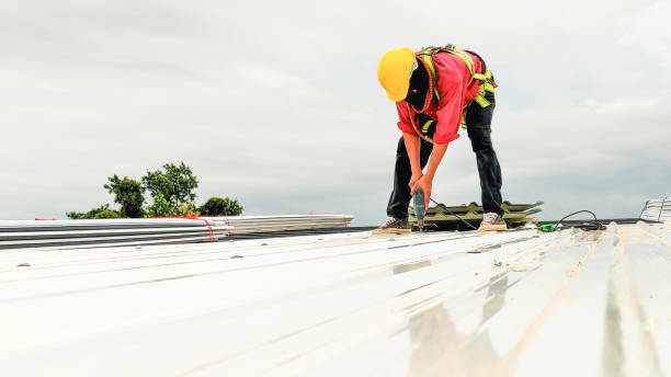 Best Roof Installation  in Big Pine Key, FL